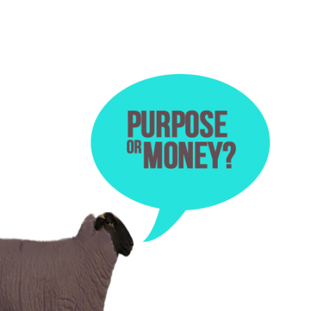 purpose_or_money2