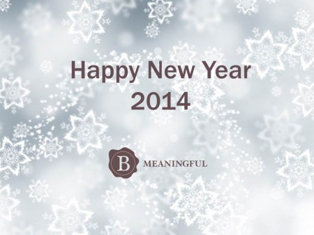 Bmeaningful 2014 image