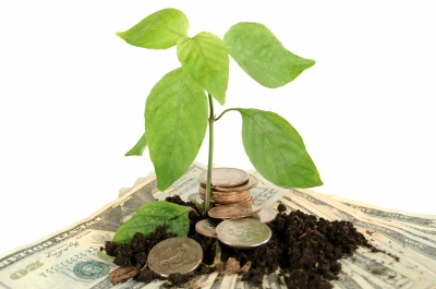 Social Finance - Money Sprout