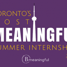 Toronto's Most Meaningful Summer Internships