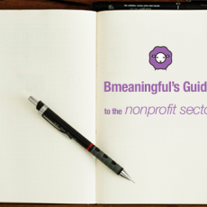 guide to nonprofit sector