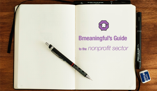 guide to nonprofit sector